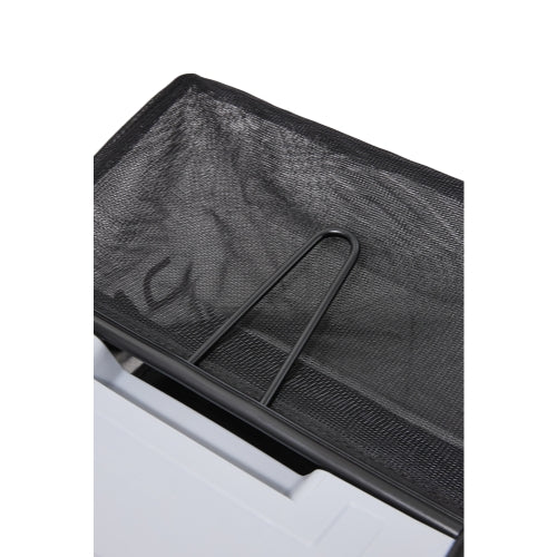 13-Inch 2-in-1 Electric Dethatcher and Scarifier Lawn Dethatcher with 8-Gallon Removable Thatch Collection Bag, 4-Position Depth Adjustment, 12 Amp, Quick-Fold, Keeps Lawn Healthy